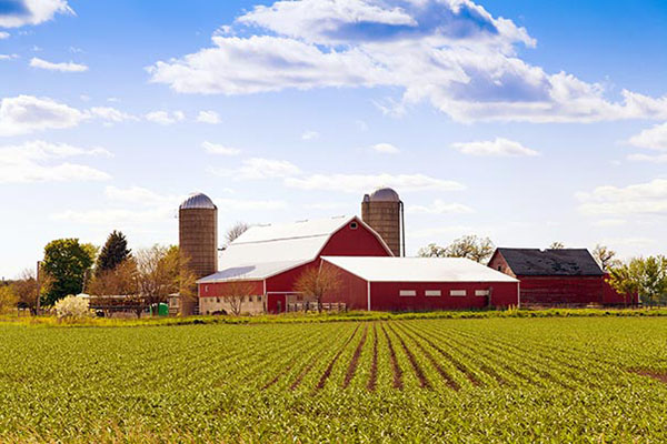 Agriculture Law Attorneys